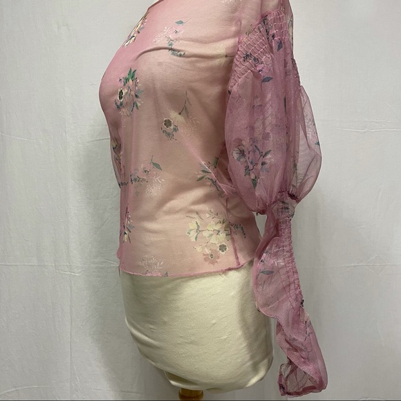 Zara Sheer Blouse - Picture 12 of 16